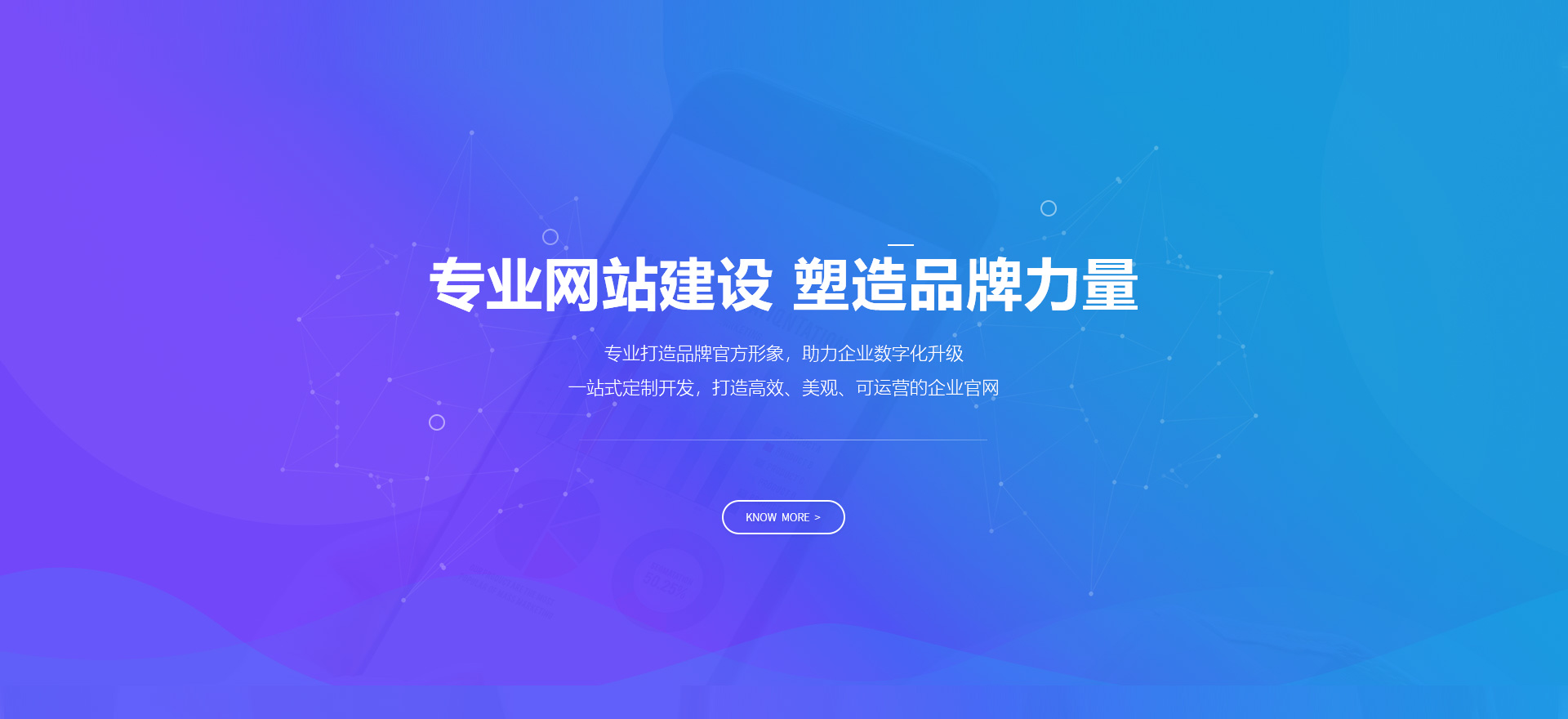 定安建站-专业网站建设 塑造品牌力量
