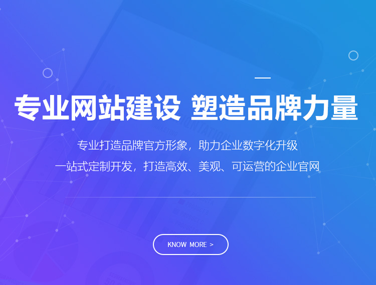 定安建站-专业网站建设 塑造品牌力量